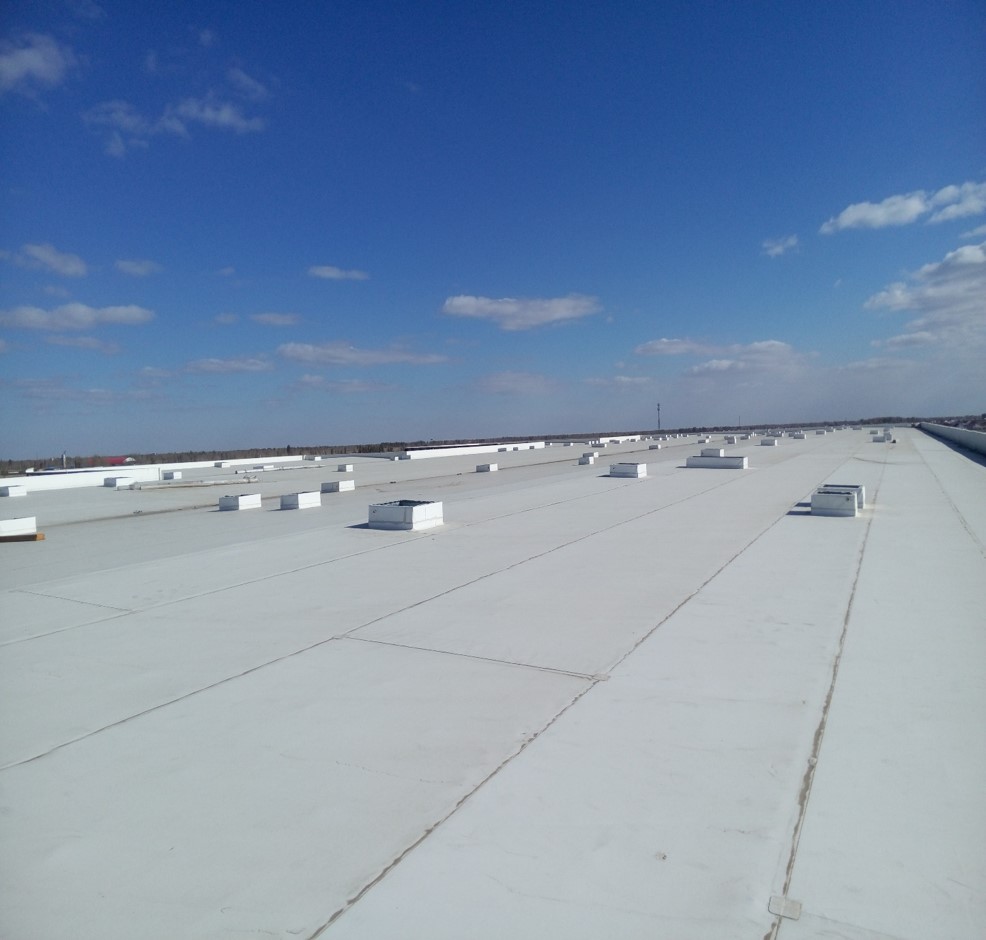 55,000 square meters of Horqin cattle industry in Inner Mongolia